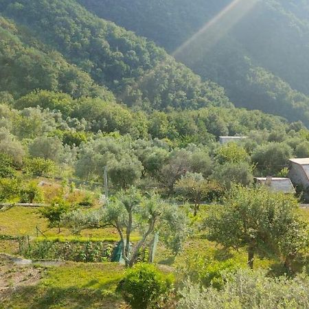 Casa Di Arya Codice Citra Lt-0043 Leilighet Vescina Eksteriør bilde