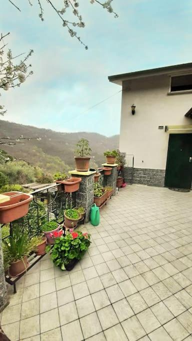 Casa Di Arya Codice Citra Lt-0043 Leilighet Vescina Eksteriør bilde